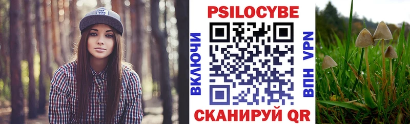 darknet клад Мостовской Галлюциногенные грибы Cubensis